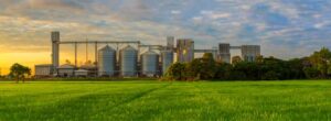 Sustainability Ethanol Production Industry