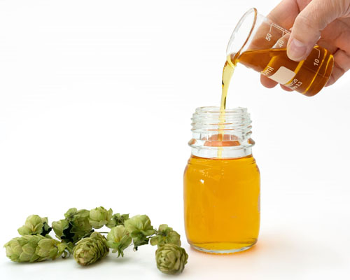 Bacteria Control & Fermentation with Hops for Ethanol Production